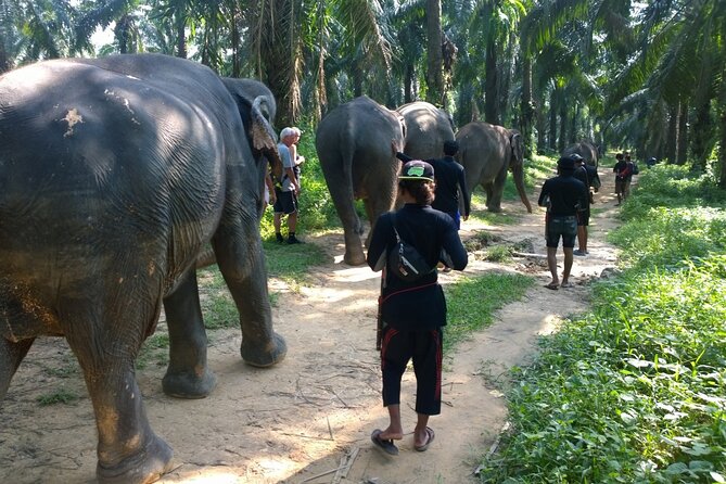 Krabi Elephant Sanctuary and Emerald Pool Adventure - Simple preparation for a better day