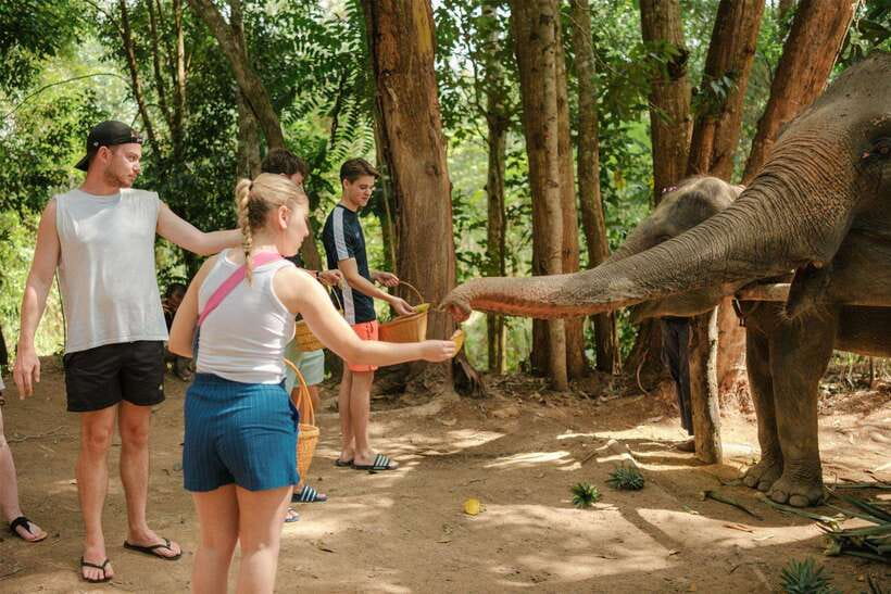 Krabi: Elephant Sanctuary (near Ao Nang) Visit - A short sanctuary visit with a clear purpose