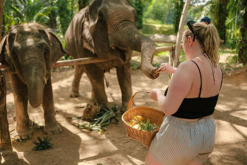 Krabi: Elephant Sanctuary (near Ao Nang) Visit - Who will enjoy this experience most?
