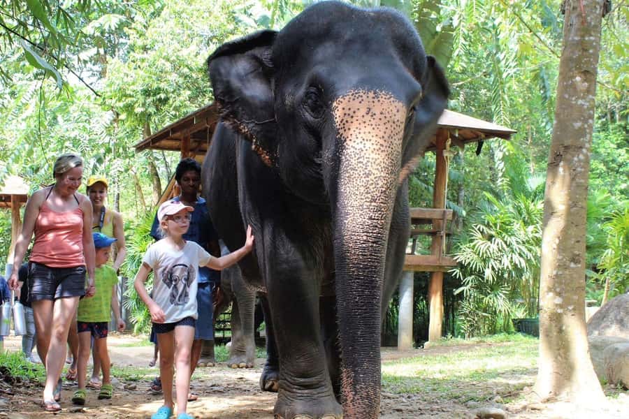 Krabi: Ethical Elephant Sanctuary Experience - Key points at a glance