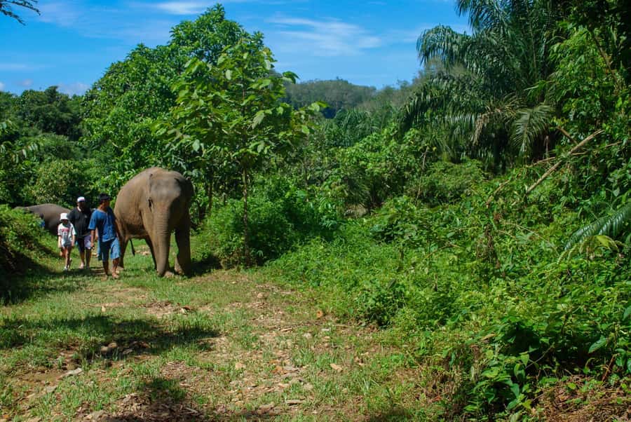 Krabi: Ethical Elephant Sanctuary Experience - What to pack and how to prepare
