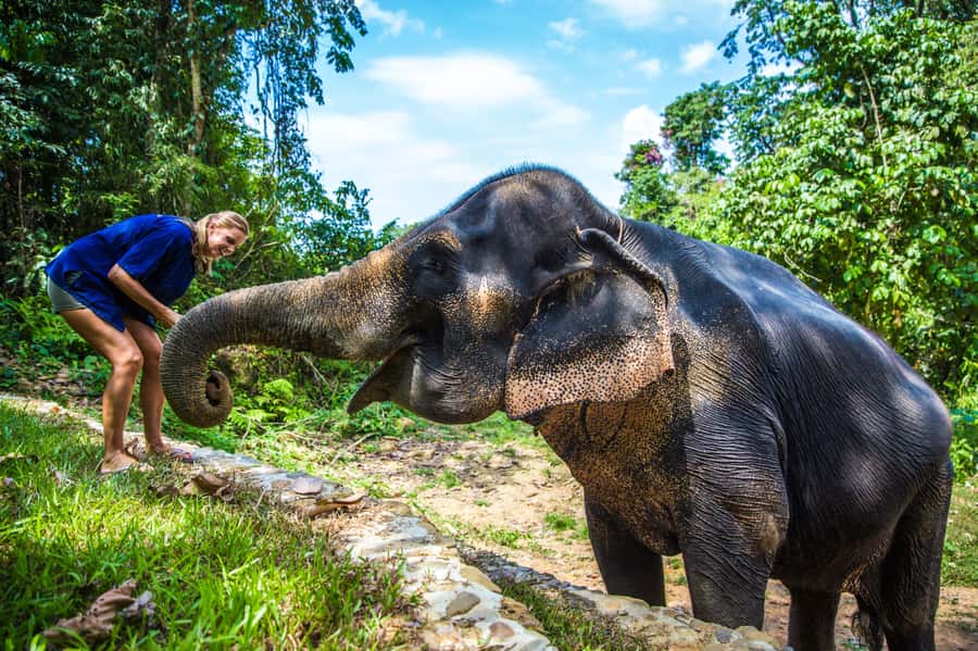 Krabi: Ethical Elephant Sanctuary Experience - Learning the caretaker’s daily routine