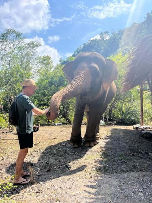 Krabi: Ethical Elephant Sanctuary & Tiger Cave Temple Tour - A simple Thai lunch before the climb