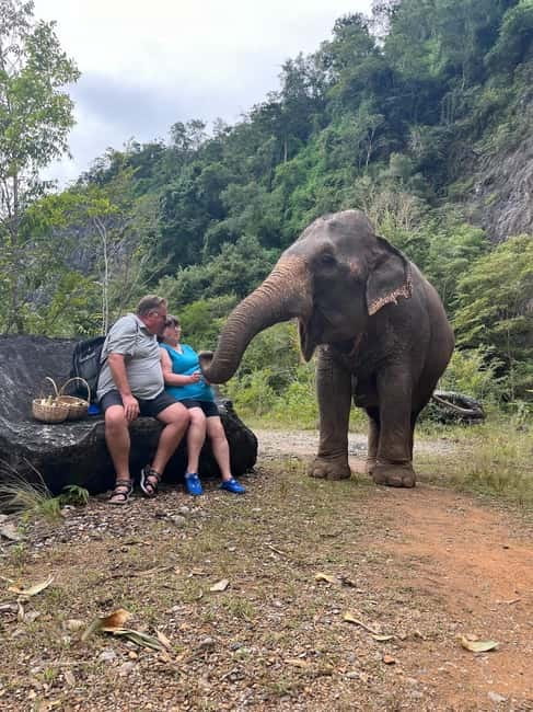 Krabi: Ethical Elephant Sanctuary & Tiger Cave Temple Tour - A lower-key option at the temple