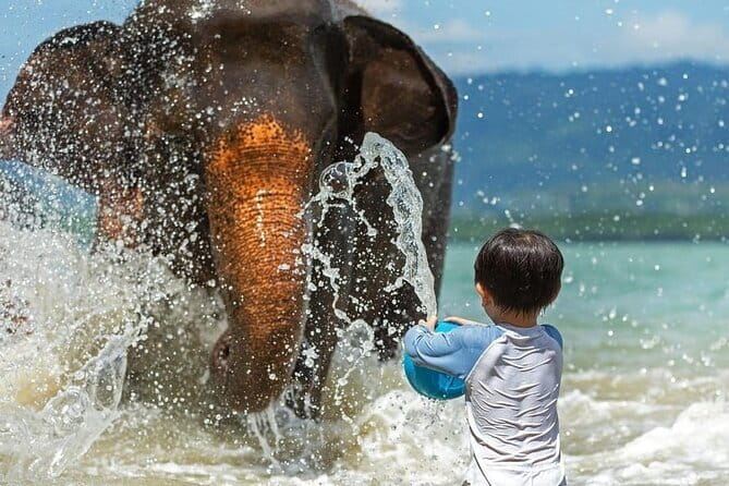 Krabi Immersive Elephant Sanctuary Experience - Meeting Krabi’s Elephants Up Close