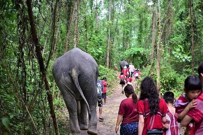 Krabi Immersive Elephant Sanctuary Experience - Booking and Cancellation Details