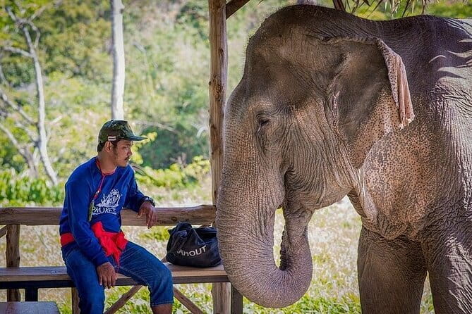 Krabi Immersive Elephant Sanctuary Experience - A Jungle Walk With Real Limits