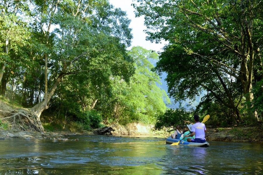 Krabi: Khao Sok Elephant Sanctuary, Rafting Tour, and Lunch - Key points at a glance