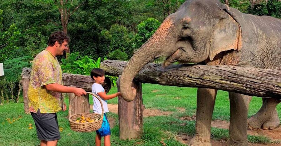 Krabi: Khao Sok Elephant Sanctuary, Rafting Tour, and Lunch - From Krabi beaches to Khao Sok jungle