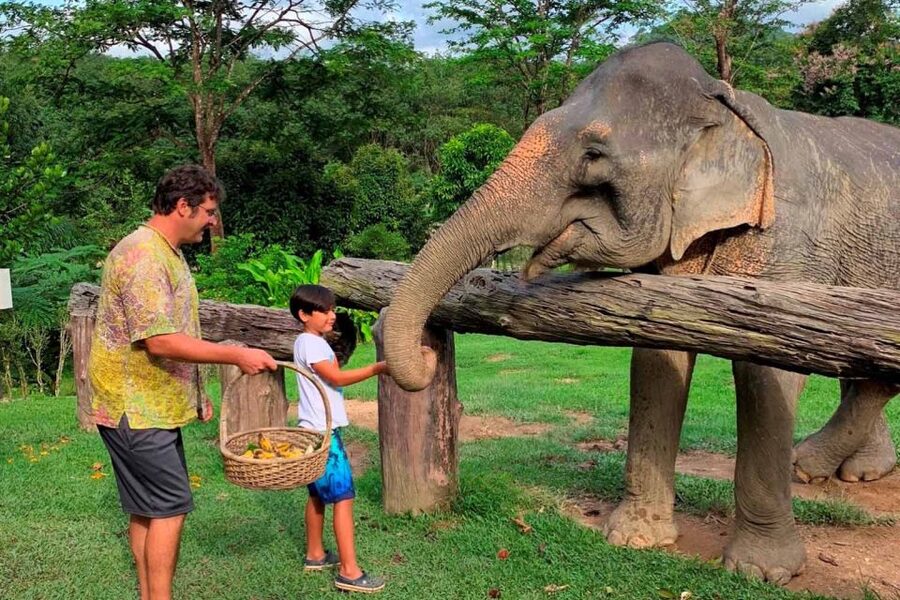 Krabi: Khao Sok Elephant Sanctuary, Rafting Tour, and Lunch - Meeting the elephants at the sanctuary