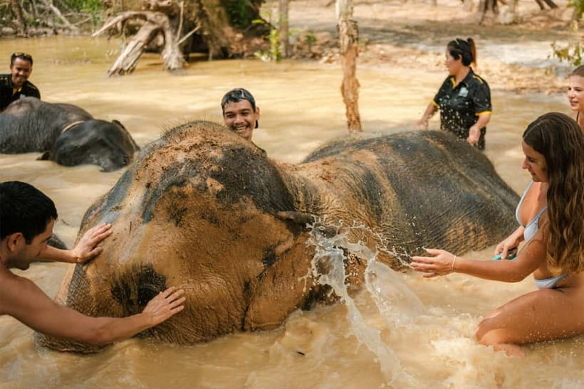 Krabi: Love Elephant Sanctuary Tour - Key points at a glance