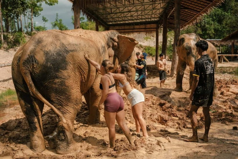 Krabi: Love Elephant Sanctuary Tour - Washing the elephants in the water