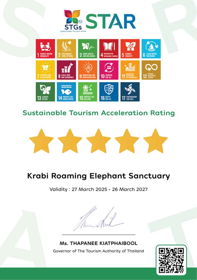 Krabi: Observation-Only Elephant Sanctuary 2hrs Mini Moments - Your introduction to the sanctuary and its elephants