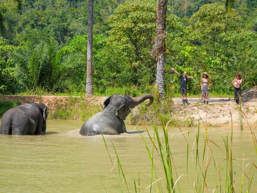Krabi: Observation-Only Elephant Sanctuary Half-Day & Meal - A vegetarian meal after the activities
