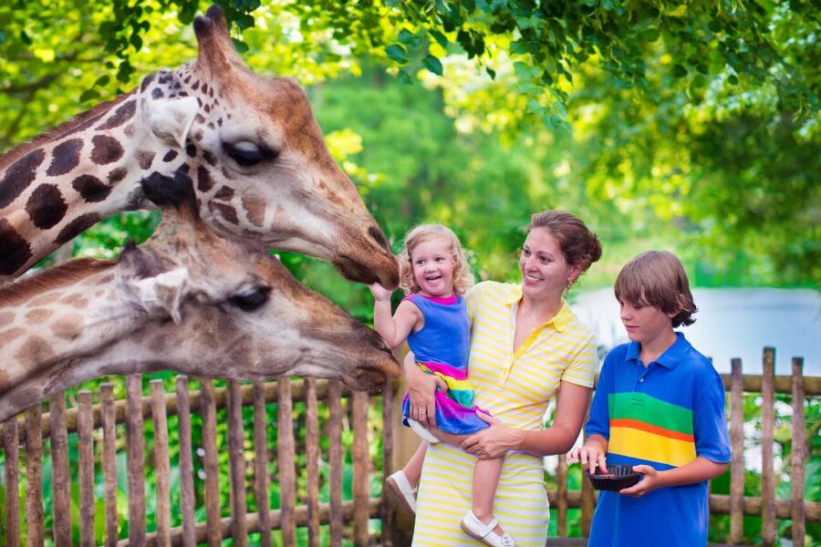 Krakow: Zoo Tour with Private Transport and Tickets - Why Krakow Zoo makes a worthwhile city break