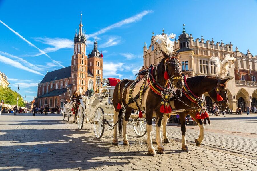 Krakow: Zoo Tour with Private Transport and Tickets - The animals you can expect to see