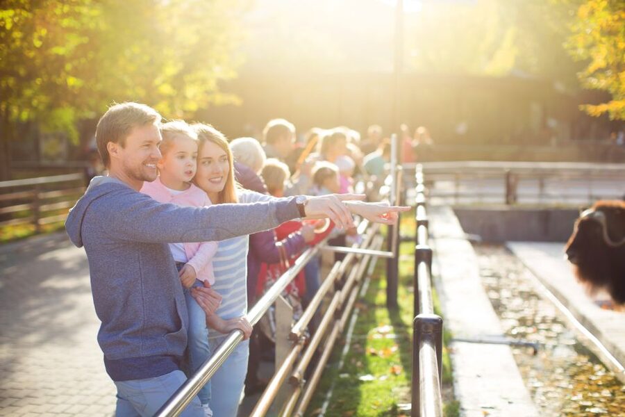 Krakow: Zoo Tour with Private Transport and Tickets - The return transfer and the value of private service