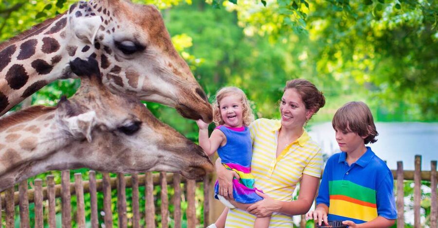 Krakow: Zoo Tour with Private Transport and Tickets - Should you book the Krakow Zoo tour?