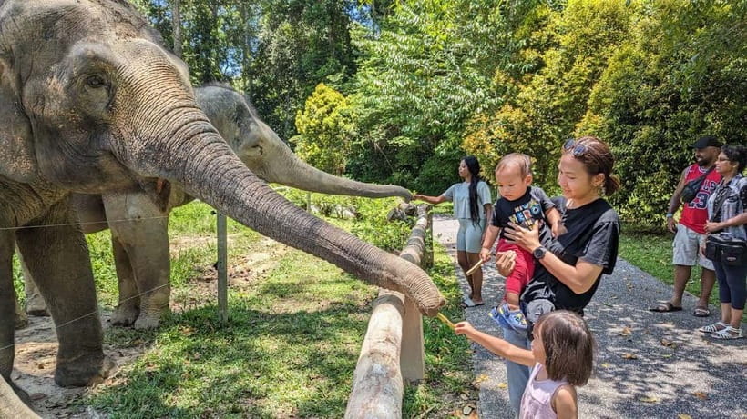 Kuala Lumpur: Batu Caves & Kuala Gandah Elephant Sanctuary - Deerland Park adds a short wildlife stop