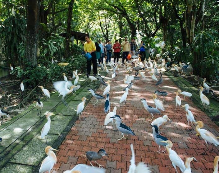 Kuala Lumpur: Bird Park, Butterfly & Garden Private Tour - Getting close to butterflies at the breeding area