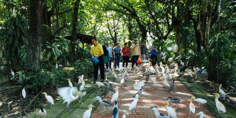 Kuala Lumpur: Bird Park, Butterfly & Garden Private Tour - Orchids, hibiscus, and a quieter finish