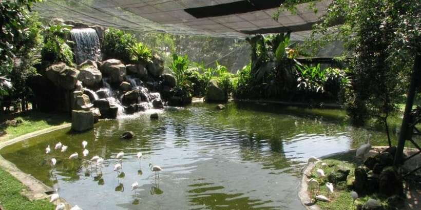 Kuala Lumpur: Bird Park, Butterfly & Garden Private Tour - Who gets the best value from the $79 price