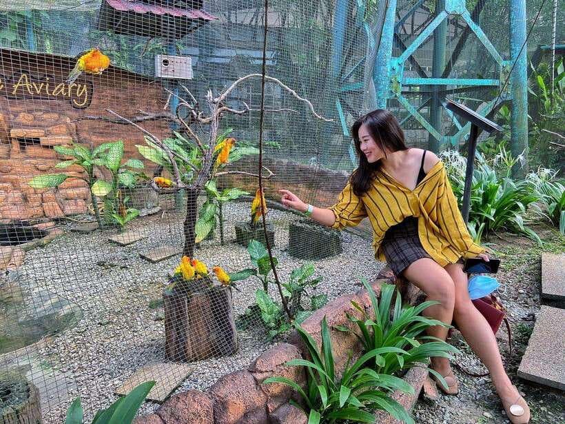 Kuala Lumpur: Bird Park Day Ticket & 1-Way Transfer - Final booking advice