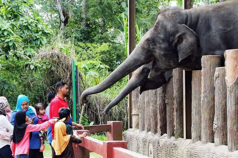 Kuala Lumpur Day Tour: Batu Caves & Elephant Sanctuary - Batu Caves begins with the 42.7-metre statue