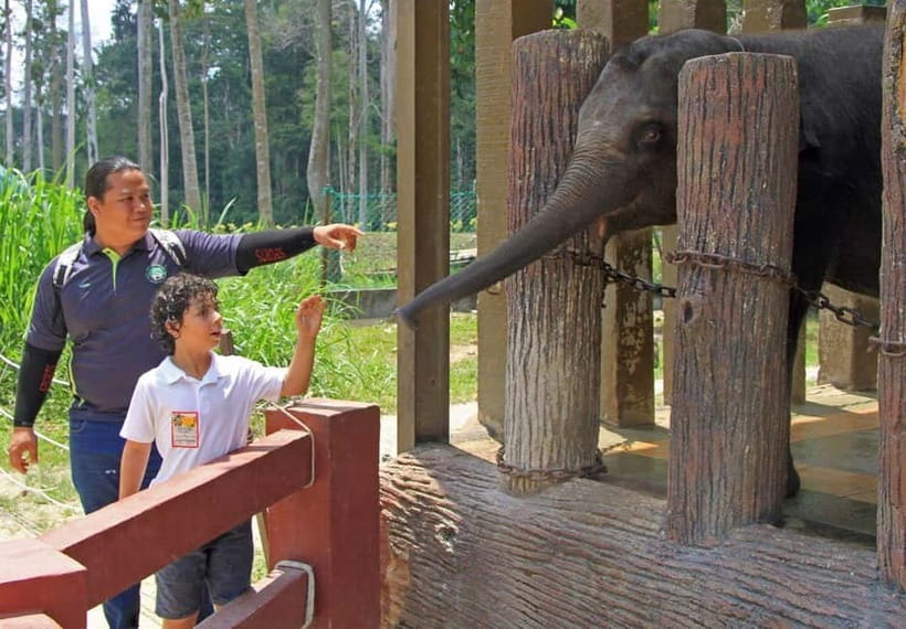 Kuala Lumpur Day Tour: Batu Caves & Elephant Sanctuary - Why the private vehicle matters in four hours