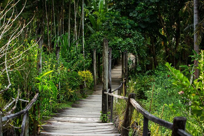 Kula Eco Bird Park ,Momi Gun Site And Market Tour Ex Marriott and Denarau resort - Hotel Pickup Makes the $120.13 Price Easier to Judge