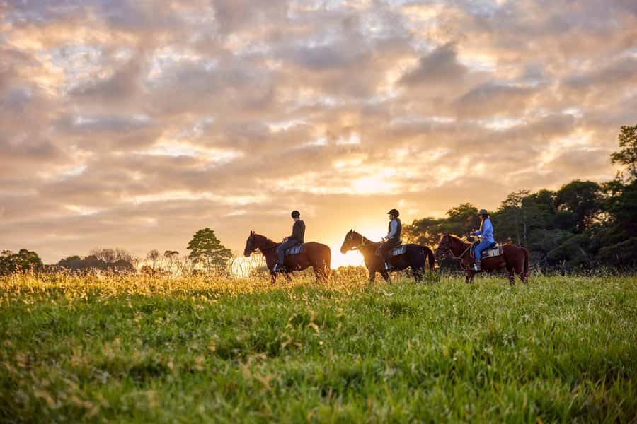 Kuranda: 60 minute Guided Horse Trail Ride & Petting Farm - Key points to know before booking