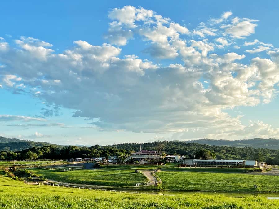 Kuranda: 60 minute Guided Horse Trail Ride & Petting Farm - A horse ride with a farm visit built in