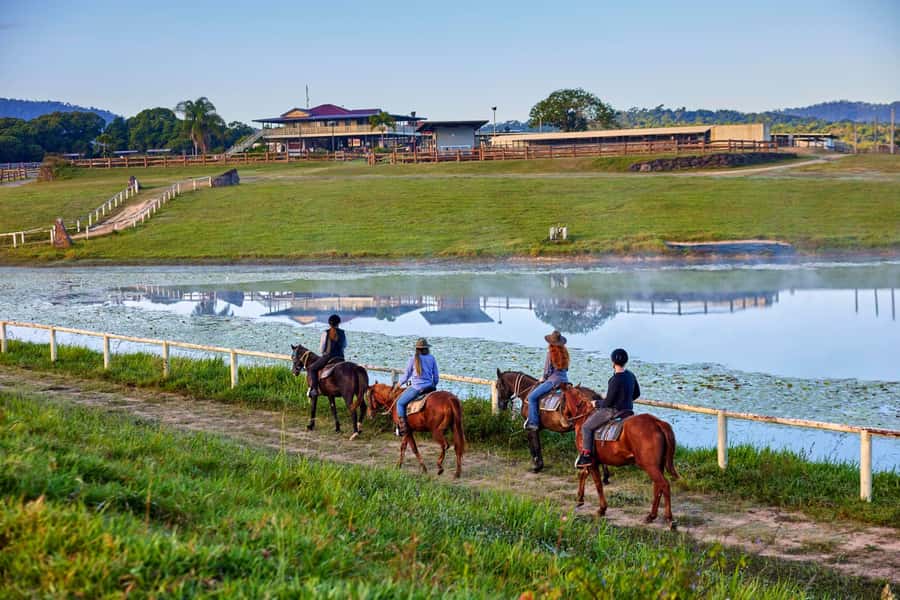 Kuranda: 60 minute Guided Horse Trail Ride & Petting Farm - Meeting your horse and entering the paddocks