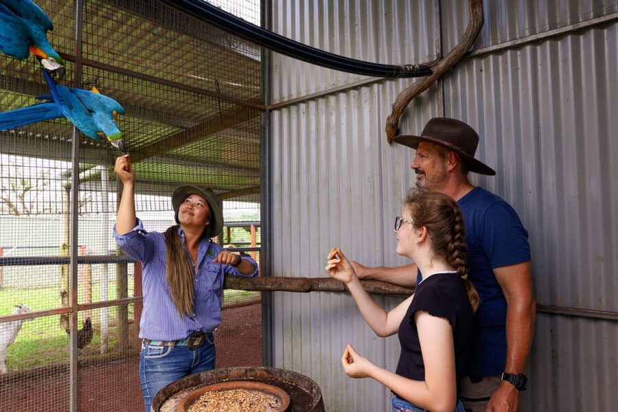Kuranda: 60 minute Guided Horse Trail Ride & Petting Farm - Is $126 good value?