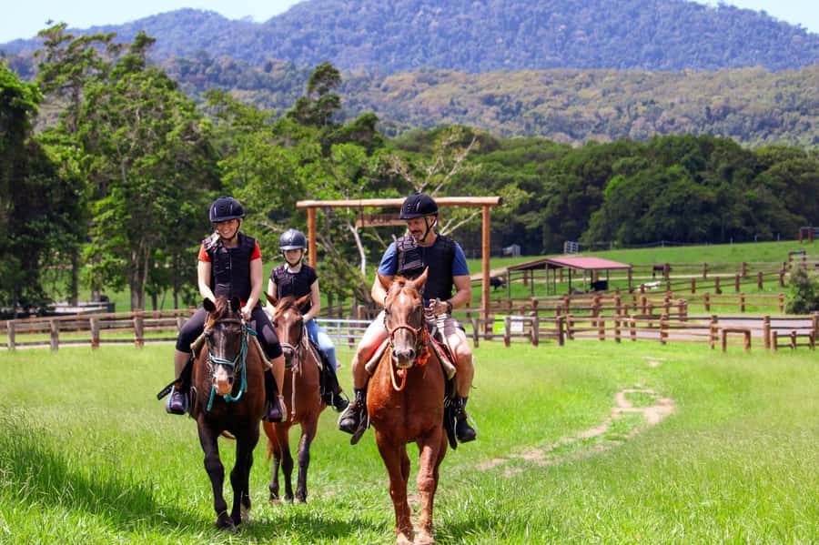 Kuranda: 60 minute Guided Horse Trail Ride & Petting Farm - What the 9:50am arrival means
