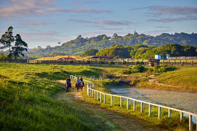 Kuranda 60 minute Horse Trail Ride and Petting Farm - Riding near Kuranda instead of simply looking at the rainforest