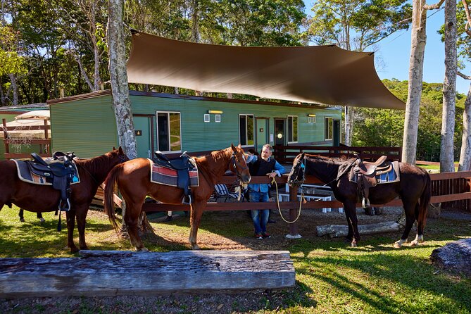 Kuranda 60 minute Horse Trail Ride and Petting Farm - The one-hour route through paddocks and rainforest tracks