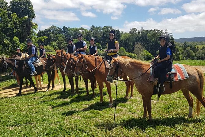 Kuranda 60 minute Horse Trail Ride and Petting Farm - What happens from 9:30 in the morning