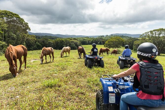 Kuranda 60 minute Quad Bike Experience and Petting Farm - The staff and the practical feel of the visit