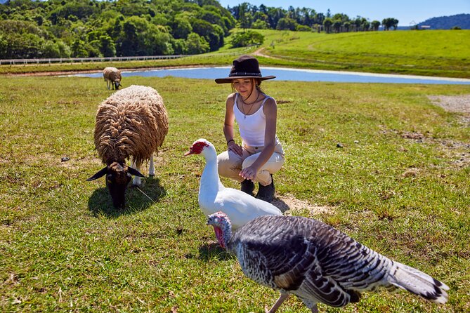 Kuranda 60 minute Quad Bike Experience and Petting Farm - Is $128.39 per person good value?