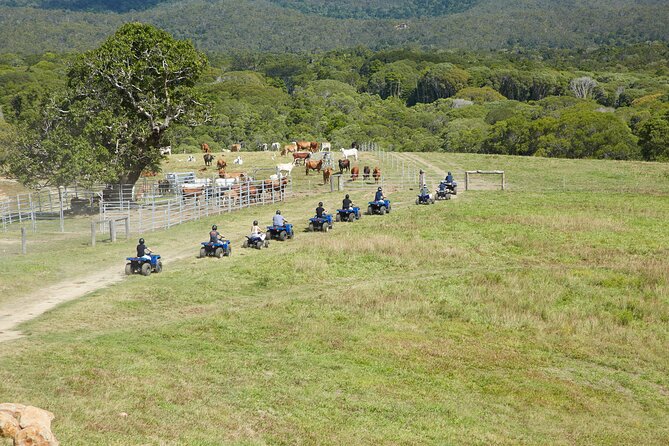 Kuranda 60 minute Quad Bike Experience and Petting Farm - How this compares with a typical Kuranda day