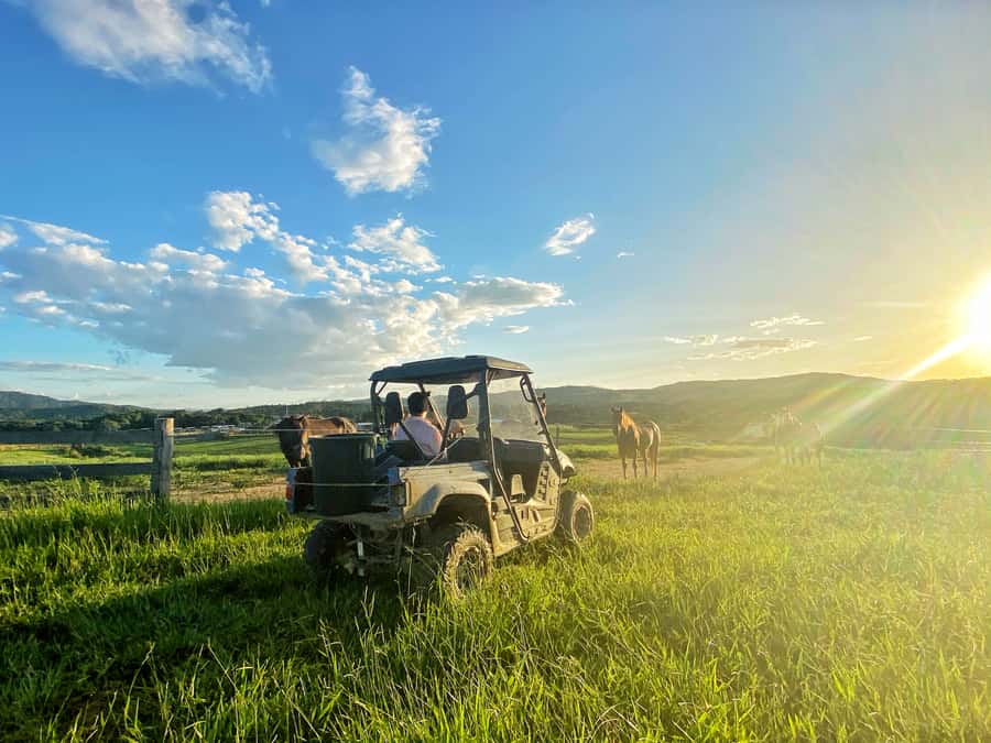 Kuranda: Quad Ride Bike and petting farm - Key points at a glance