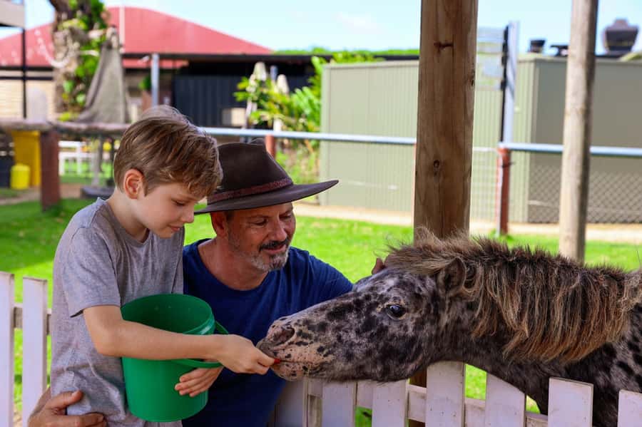 Kuranda: Quad Ride Bike and petting farm - Thirty minutes with carrots, goats, and farm animals