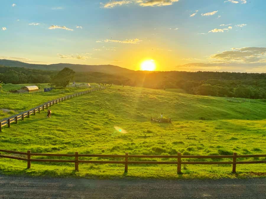 Kuranda: Quad Ride Bike and petting farm - Is the 126 dollar price fair?