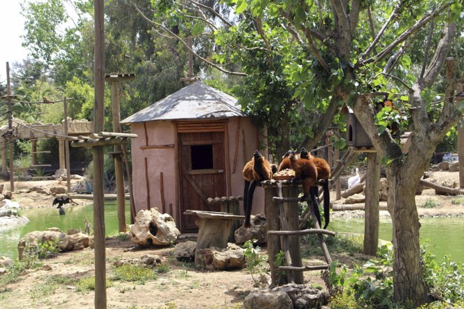 Lagos Zoo Admission Ticket - What you can see at Parque Zoologico de Lagos