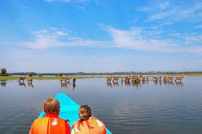Lake Naivasha Adventure: Crescent Island with Boat Safari