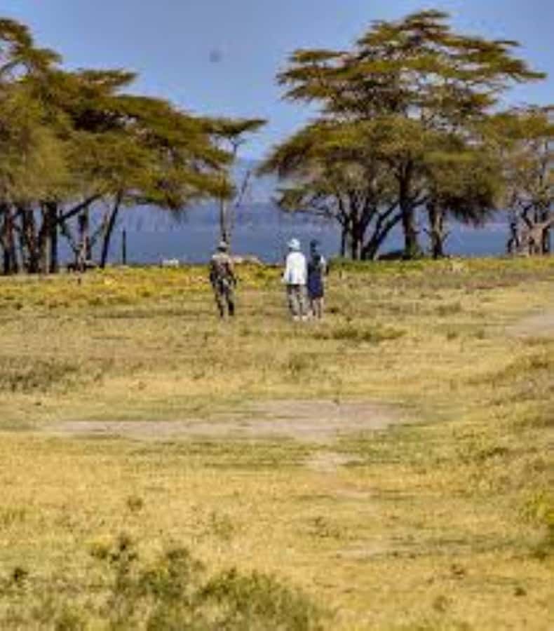 Lake Naivasha Adventure: Crescent Island with Boat Safari - Booking details worth checking