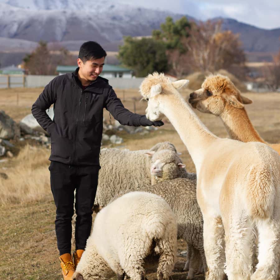 Lake Tekapo: Guided Petting Zoo Visit - Fifteen minutes to feed at your own pace