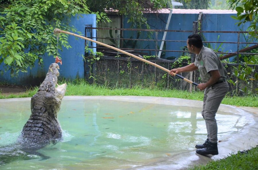 Langkawi: Wildlife Park Admission Ticket - Start with the gardens and smaller animals