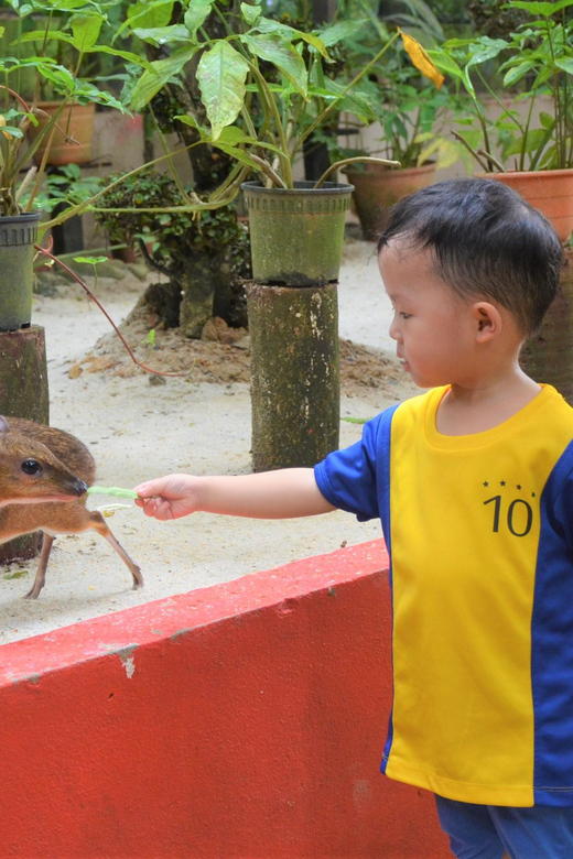 Langkawi: Wildlife Park Admission Ticket - Feeding sessions are worth the extra cost